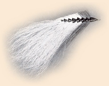 Ozark Minnow
