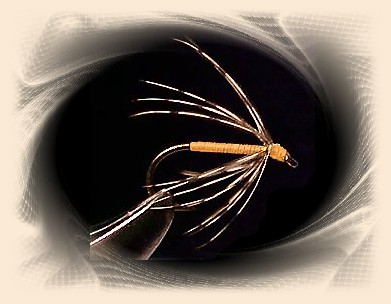 Partridge and Orange