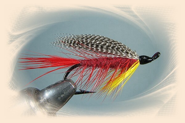 Railbird