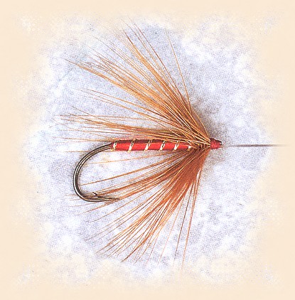 Red Hackle