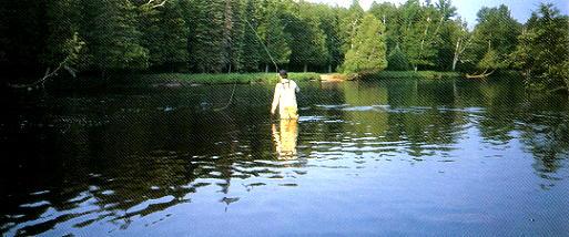 Note the sweepers on both sides of the stream