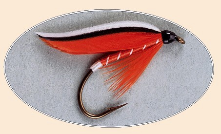 Trout Fin