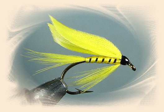 Yellow Sally