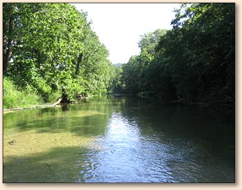 Shallow Riffle Section