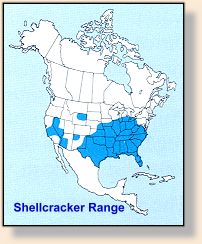 Range of shellcrackers
