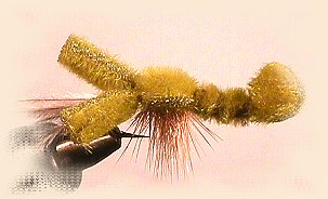 Medium Crawfish