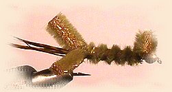 Small Crawfish