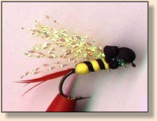 Foam/Flash Wasp