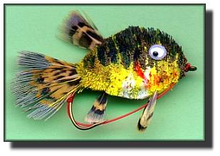 Virtual Sunfish