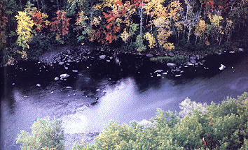 Smallmouth habitat