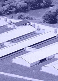 Typical Hog Buildings