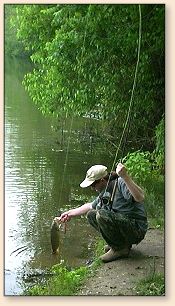 Tony landing his carp