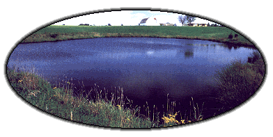 Farm Pond