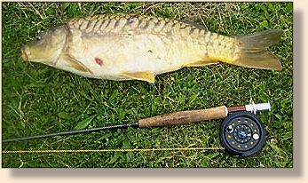 Yes, it's a CARP!