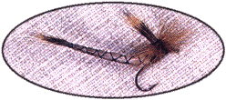 Paradrake