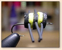 Bee Popper
