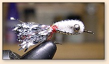 Cyperts Minnow