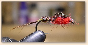 Pheasant Tail Nymph