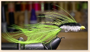 Stickleback