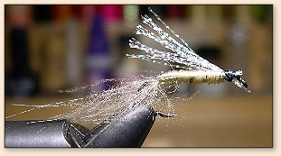 Streamer Nymph