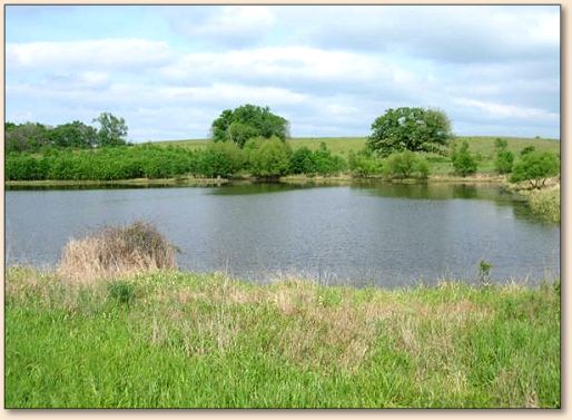 Favorite Pond