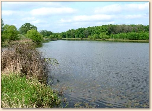 Favorite Pond