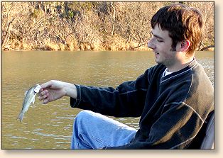 Small Bass
