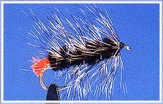 Black and Grizzly Wooly Worm