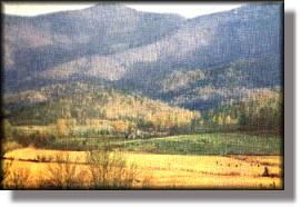 Blue Ridge region of northeastern Georgia