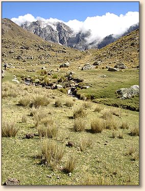 Valley with peat moss