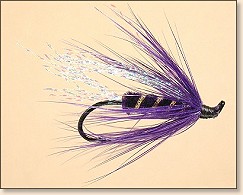Purple Spackle