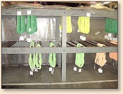 Line Skeins