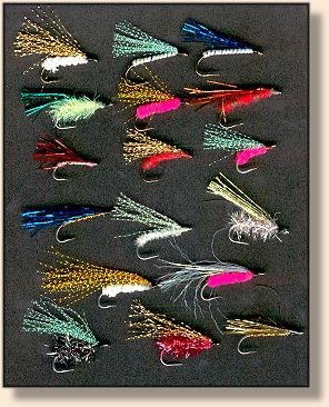 Flies for the trip