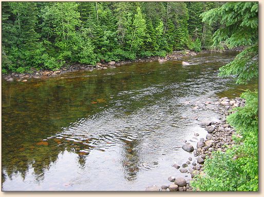 Downstream on the St. Marguerite