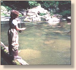 Fishing the pool with a dry fly!