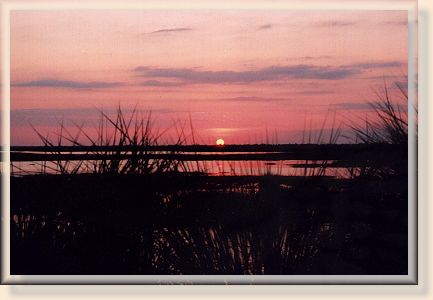 Secret Sunset