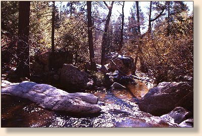 Nowhere wilderness