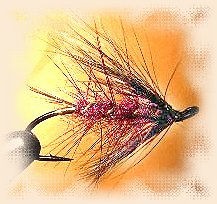 Black and Purple with a little flash added can make for a great fly