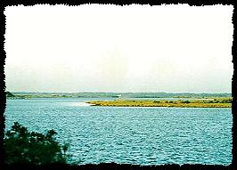 Marineland Flats