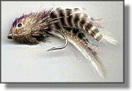 Fly design by Keith Beach, Tail 
Hunters, Ormond Beach, FL