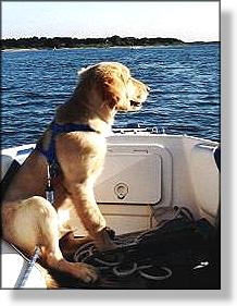 Lula tied in boat