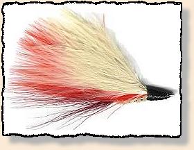 Redfish Diver