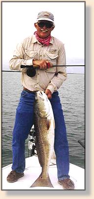 Photographed and released