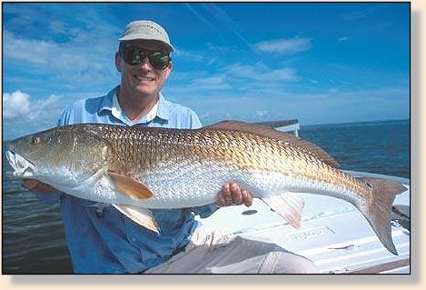 Monster Red