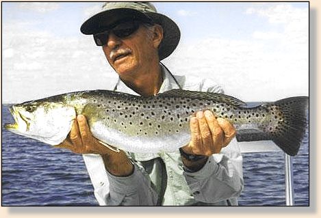 Sea Trout
