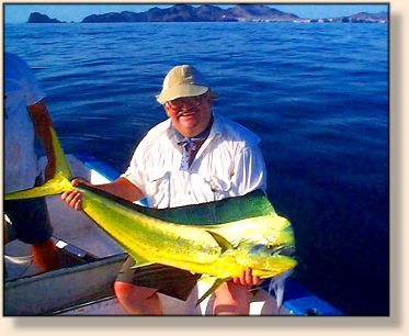 Don and Dorado