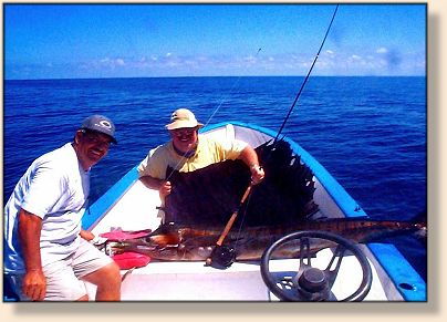 Don and Dandy Sailfish