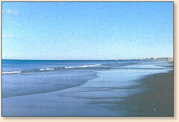 Ideal sight-fishing beach