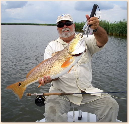 A Dandy Redfish
