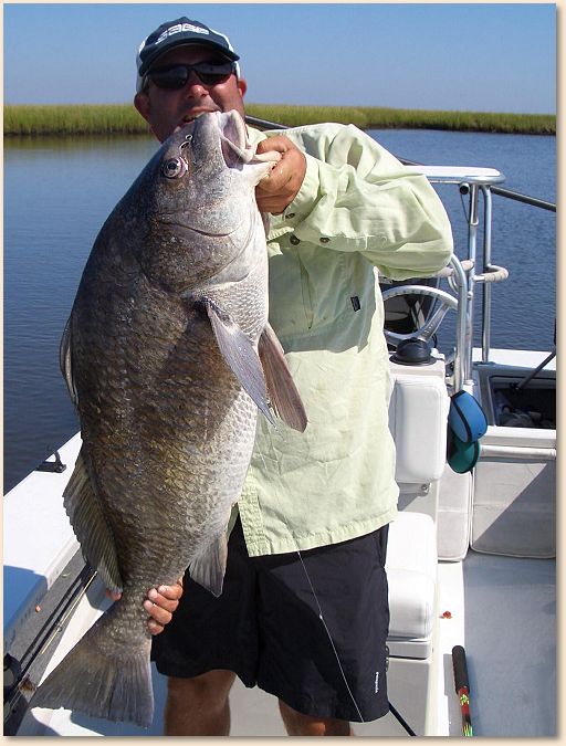 Big Black Drum